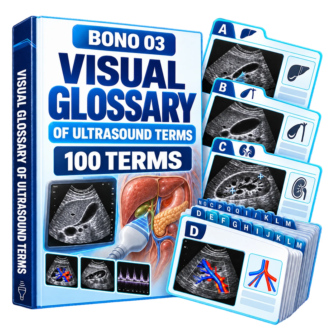 Visual Glossary of Ultrasound Terms